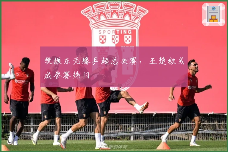 樊振东无缘乒超总决赛，王楚钦或成参赛热门